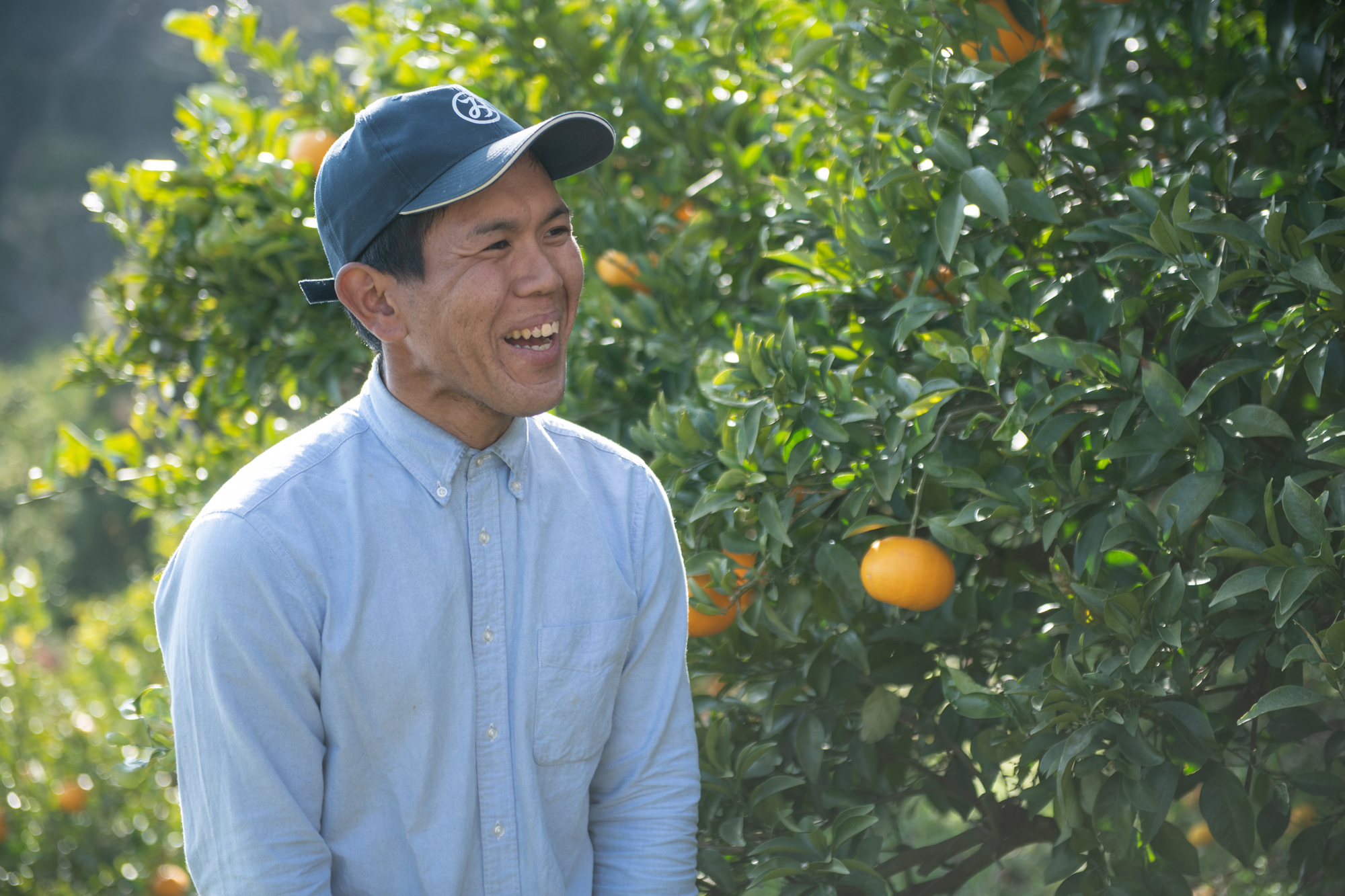 斉藤誠二さんは同じくＩターンした兄と「サンフルーツ」の収穫に励む。