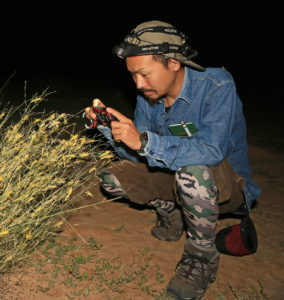 バッタ博士、アフリカに行く 生態解明と新退治法の開発で 画像1