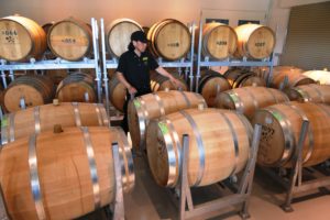 椀子で管理している樽は約200樽。温度帯の異なる２つの樽庫で、ワインの特性に合わせた育成を行っている。
