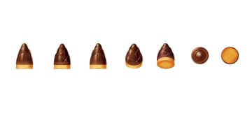 「たけのこの里」、立体商標登録 明治の主力チョコ菓子、特許庁　画像１