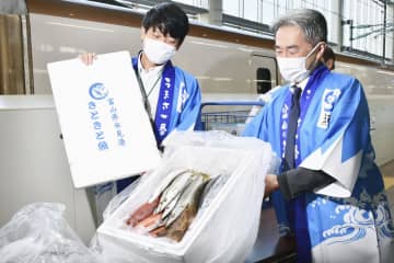 新幹線で富山の鮮魚お届け 県モデル事業、東京まで　画像１