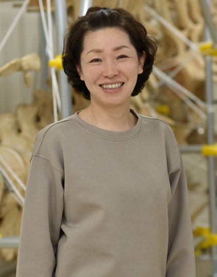 田島　木綿子　研究主幹
専門：海棲哺乳類（イルカ、クジラ類）
提供資料：日本近海に生息するクジラ・イルカの研究イラスト
