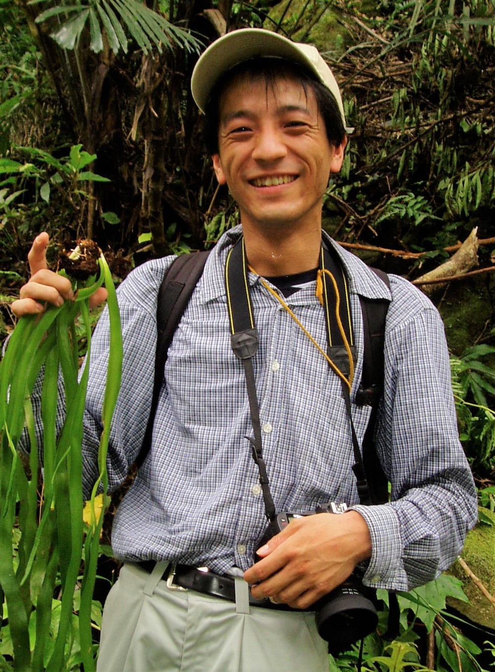海老原　淳　研究主幹
専門：シダ植物
提供資料：日本固有種おし葉標本のスキャン画像