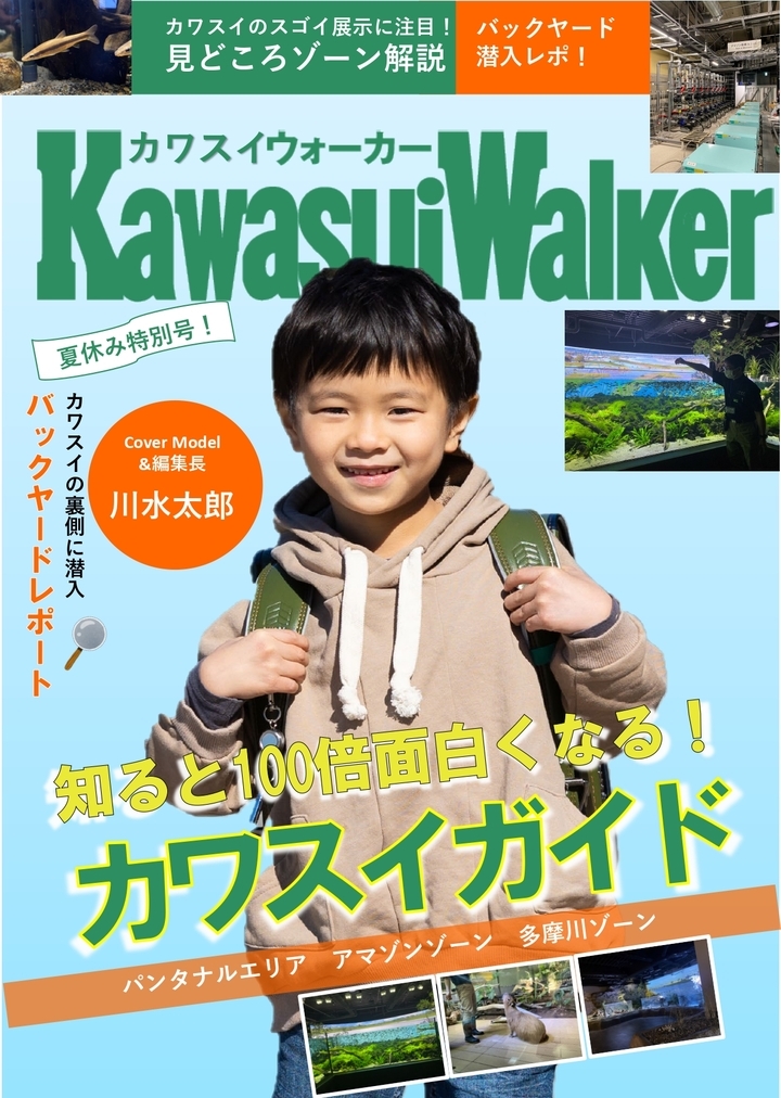Kawasui Walker (イメージ)