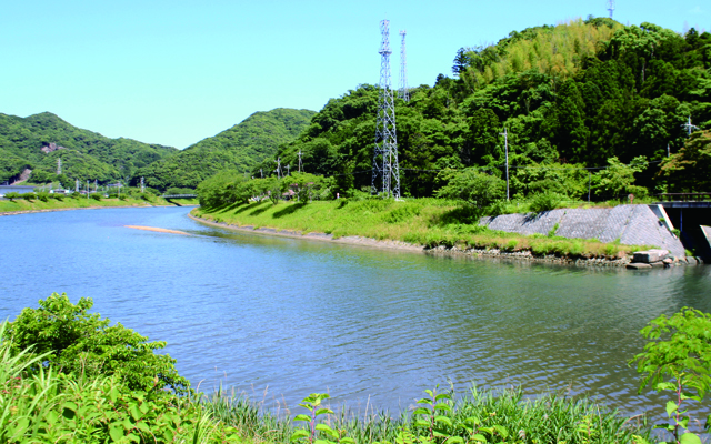 「多摩川」や「江戸川」で楽しむテナガエビ釣り【モバイルロッドで釣り入門】　画像５