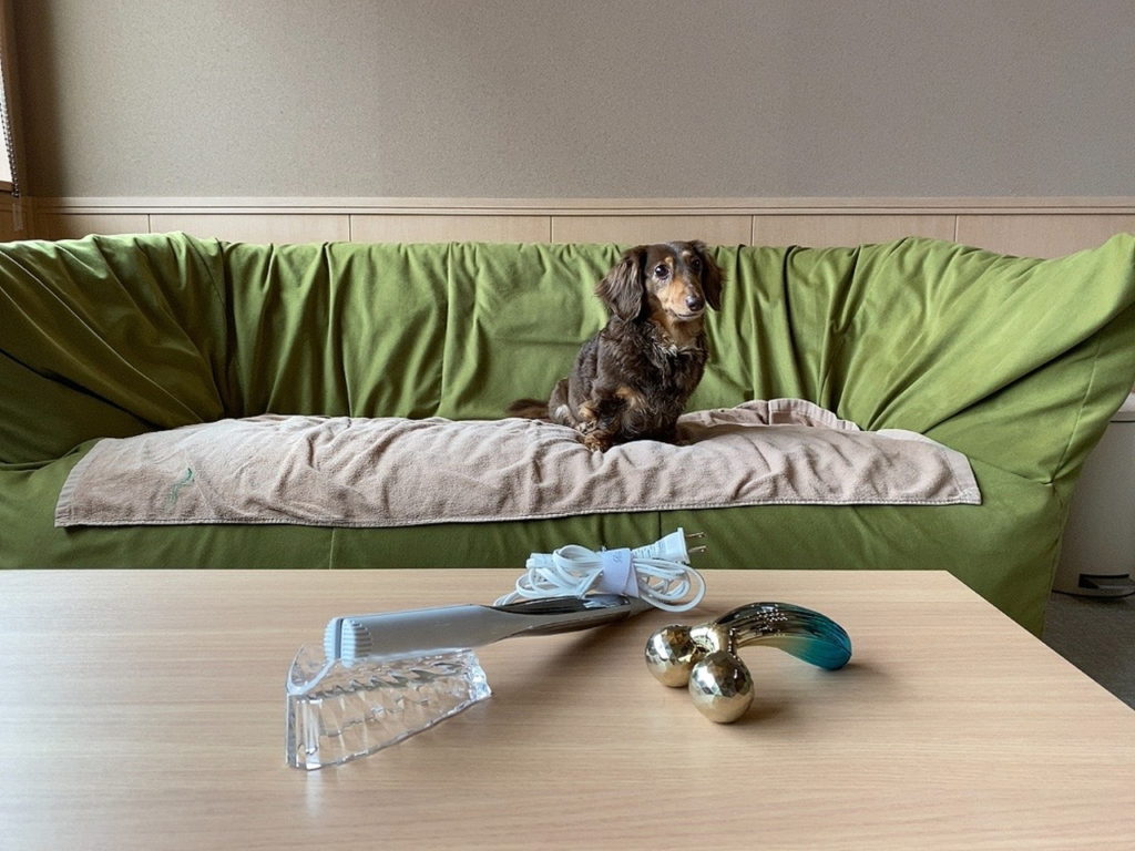【箱根の特別時間】レジーナリゾート箱根雲外荘で「愛犬とおこもり滞在」を楽しんでみた　画像１