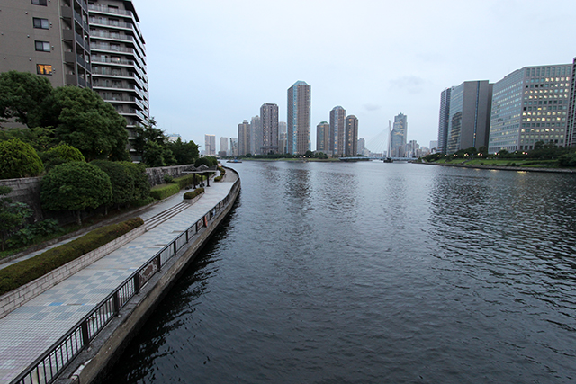 「隅田川」などの都市河川で楽しむクロダイ釣り【モバイルロッドで釣り入門】　画像４