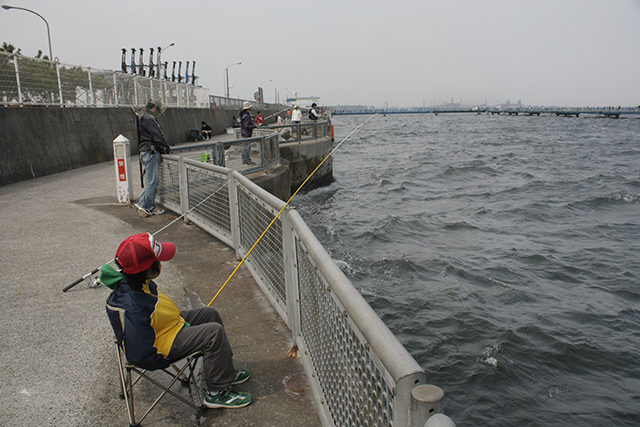 「東京湾」や「大阪湾」などの都市港湾で楽しむマダコ釣り【モバイルロッドで釣り入門】　画像４