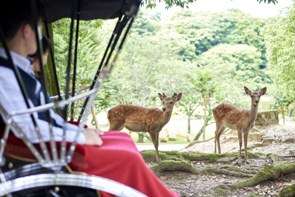 「ふふ 奈良」が人力車で巡る観光付きプランを販売　カトープレジャーグループ、歴史や文化に触れる旅　画像１
