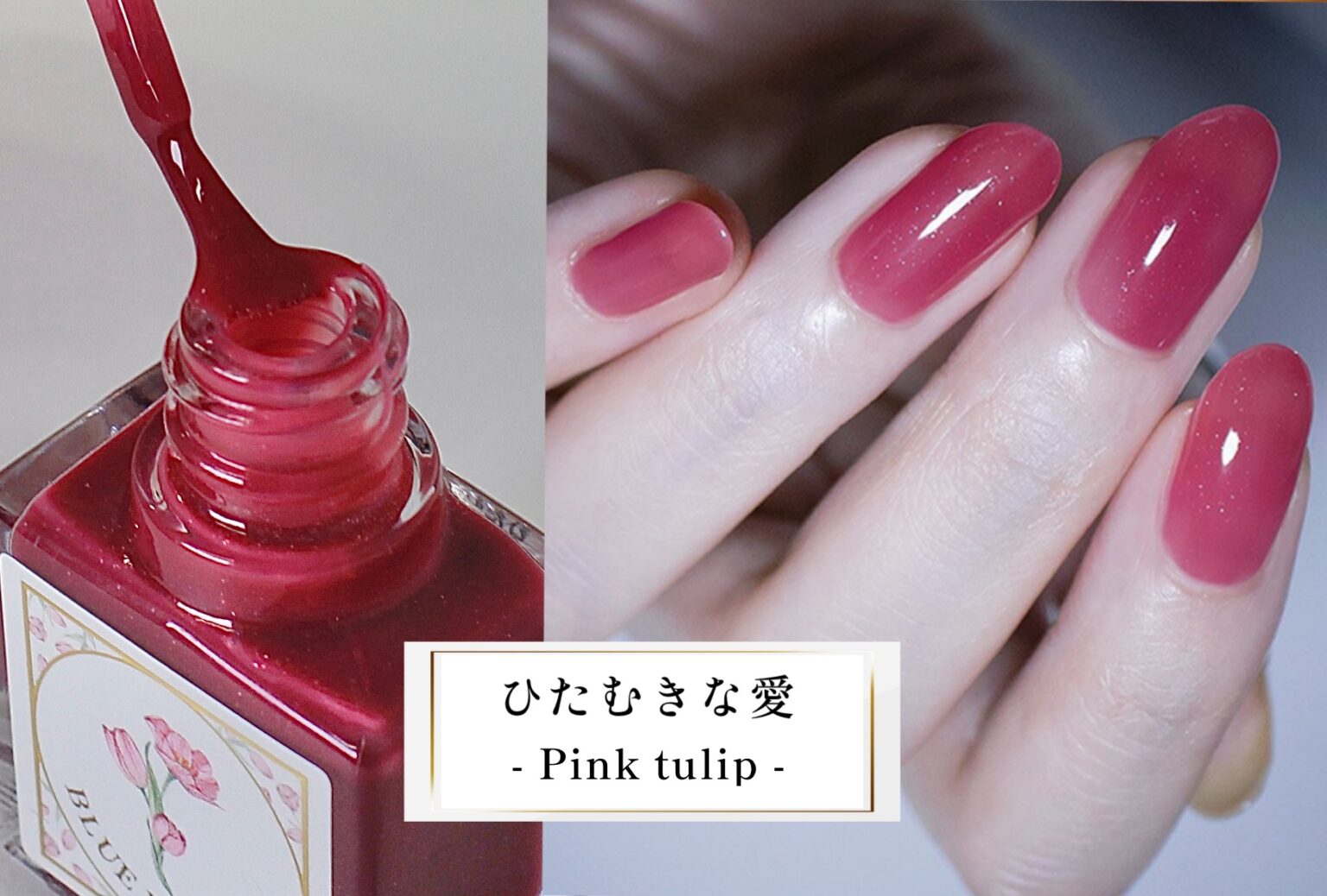 ひたむきな愛 - Pink tullip -