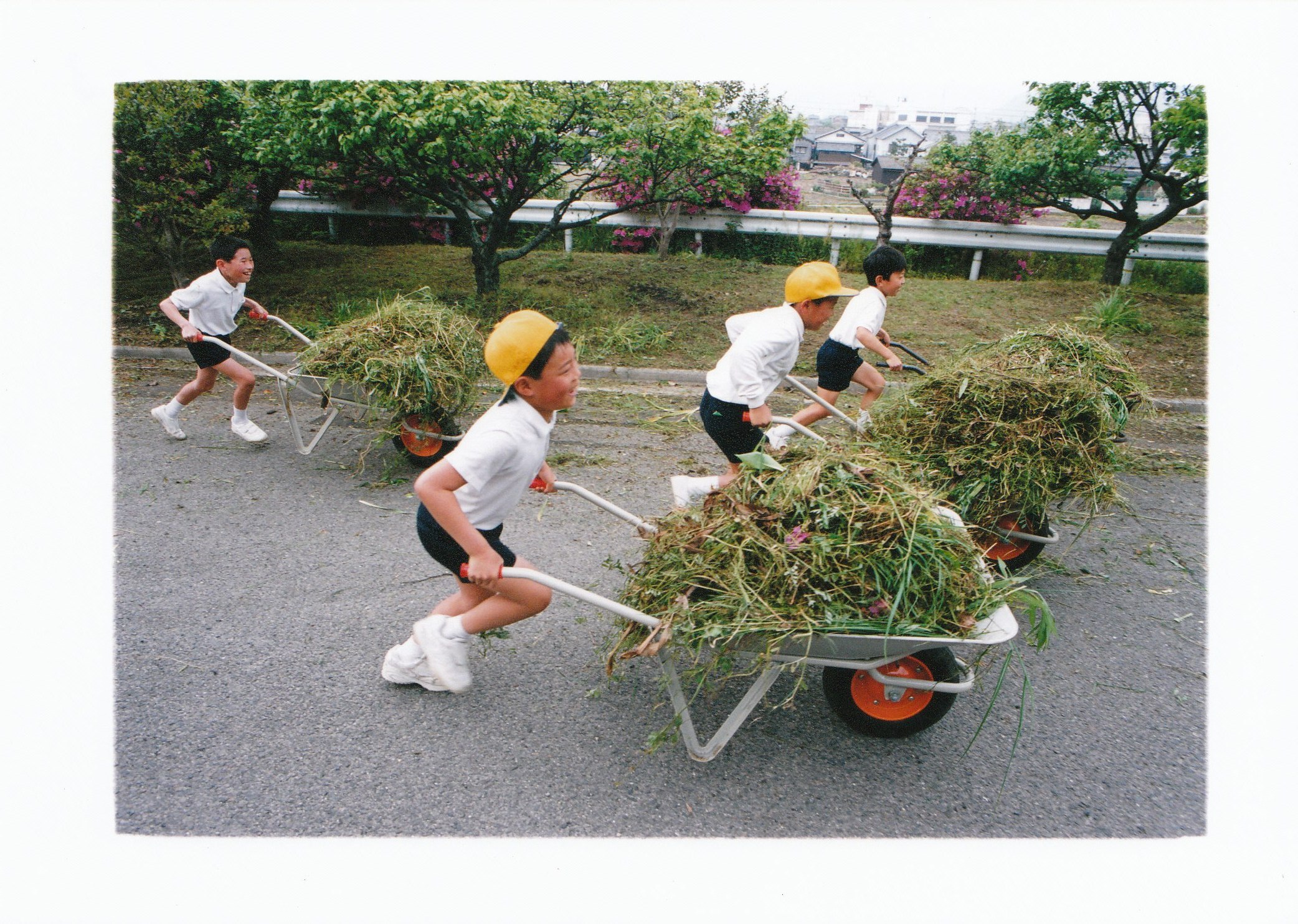 刈った草をボランティアで喜々として運ぶ子どもたち。