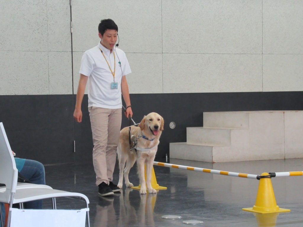 小学生対象に「全国一斉盲導犬教室」を開催　日本盲導犬協会、7月と来年1～2月にオンラインで　画像１