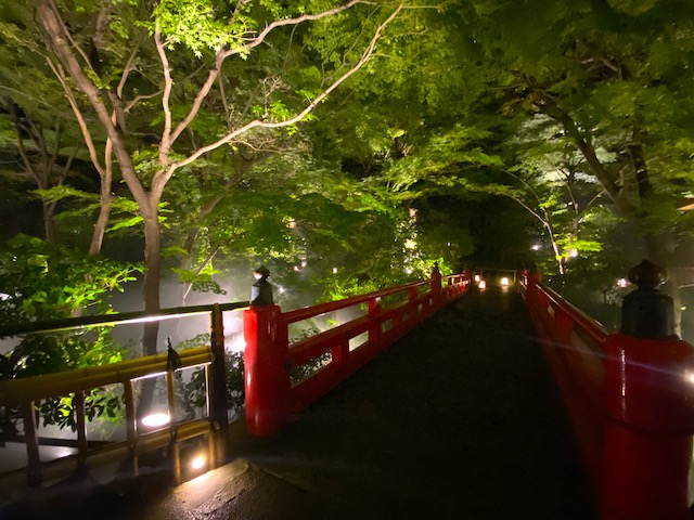 まるで異世界！ホテル椿山荘東京のライトアップされた雲海がイリュージョンすぎる　画像１３