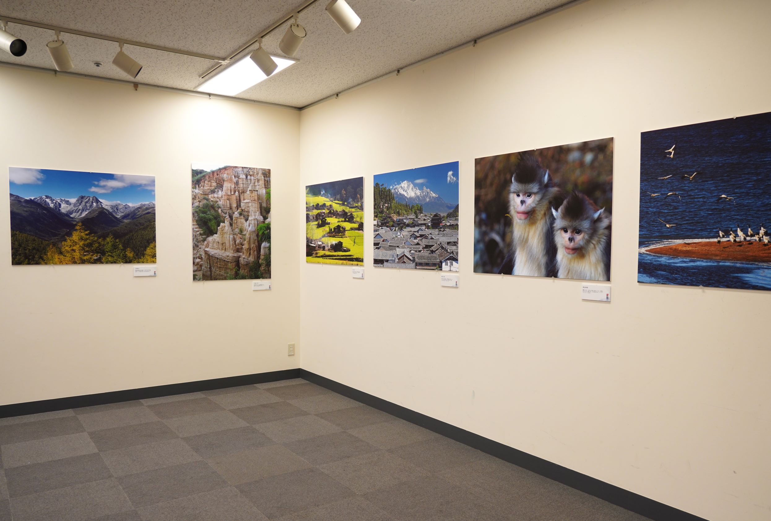 会場には雲南の絶景や風物を写した写真も展示。