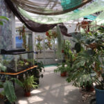 都立神代植物公園内「大温室休憩室」