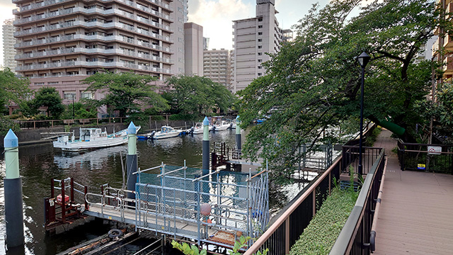 【日本の水辺をぶらり釣り歩き9】もんじゃの街・東京の月島でハゼと遊ぶ　画像２