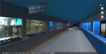 VR水族館「魚の国」