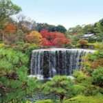 広大な日本庭園を望むティーラウンジ「ガーデンラウンジ」