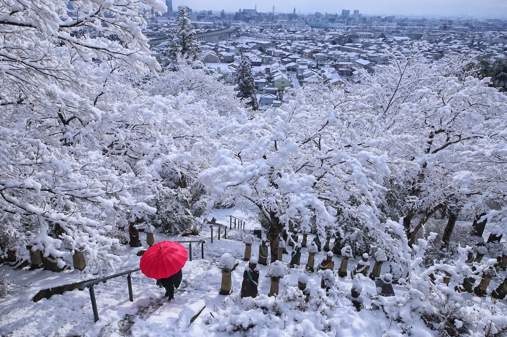 「第9回とやま森の四季彩フォト大賞」作品募集 　3年に一度開催、富山市の自然の魅力を写真で表現 　画像１