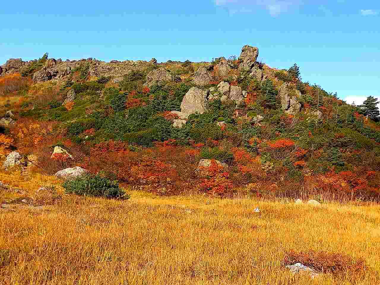 【全国から厳選！紅葉スポット紹介】山登り初心者や未経験者にもおすすめの絶景コース　画像３