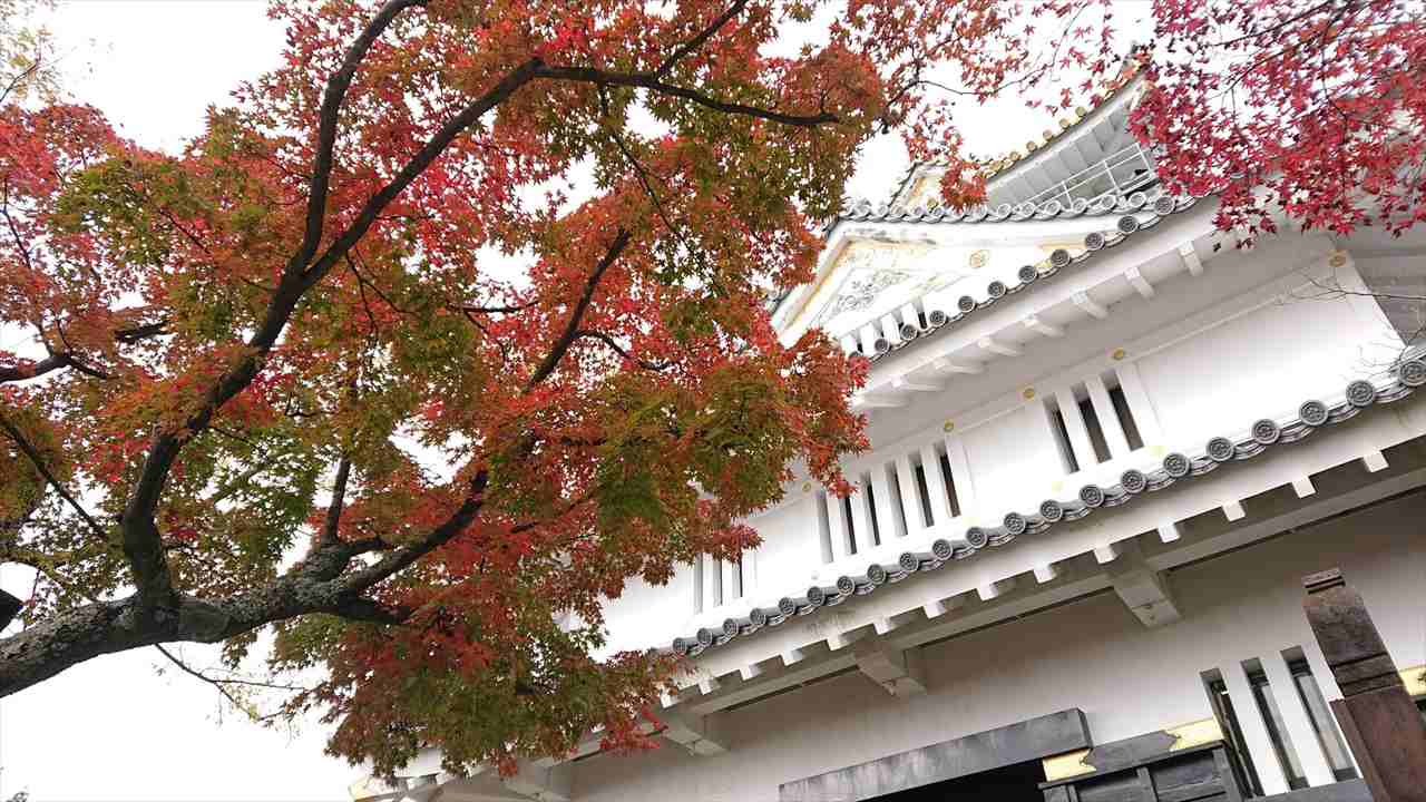 【全国から厳選！紅葉スポット紹介】山登り初心者や未経験者にもおすすめの絶景コース　画像６