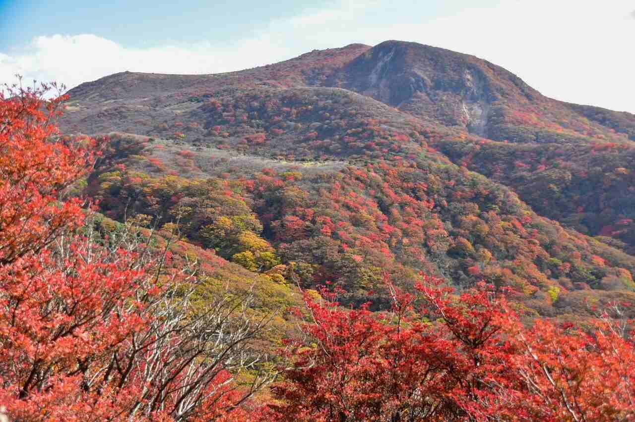 【全国から厳選！紅葉スポット紹介】山登り初心者や未経験者にもおすすめの絶景コース　画像９