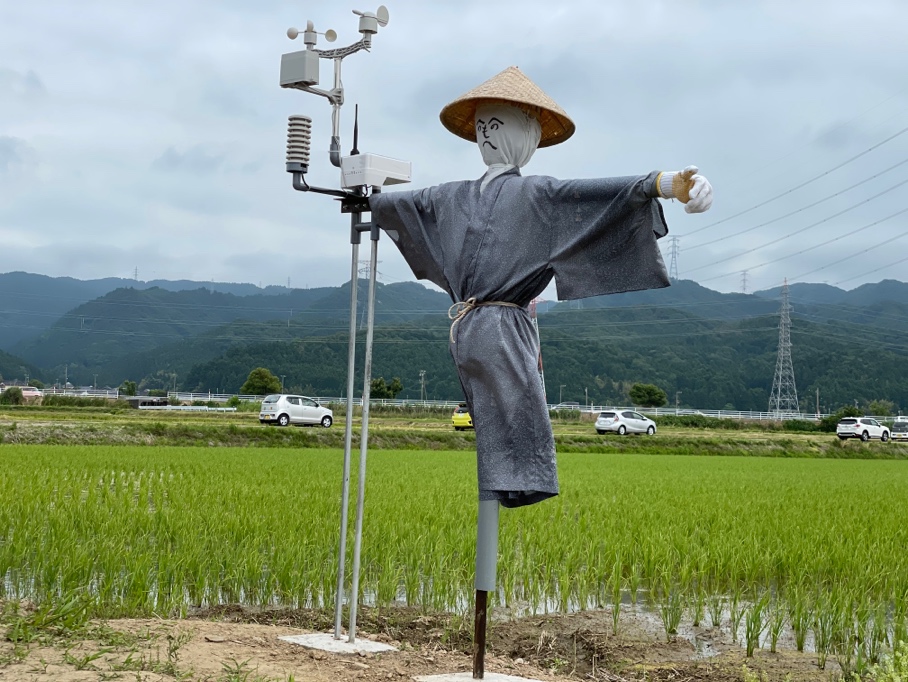 かかし型気象センサーを設置　「カカシの里」石川県中能登町に　画像１