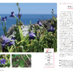 さらに知っておきたい日本の絶滅危惧植物図鑑