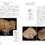 さらに知っておきたい日本の絶滅危惧植物図鑑