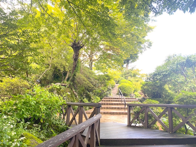 箱根の強羅公園は想像以上に映えスポット！【編集部ブログ】　画像２