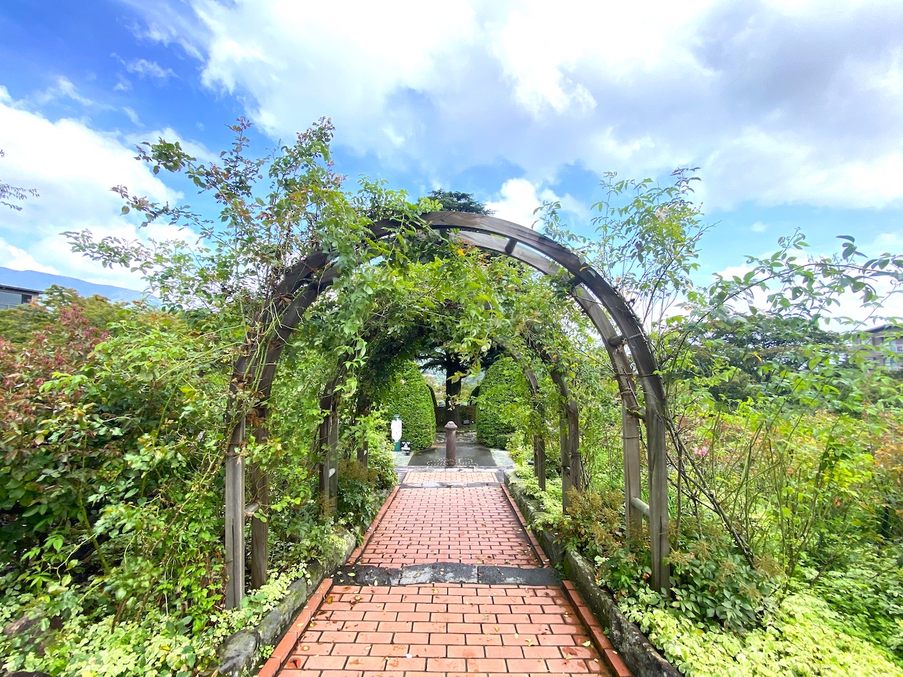 箱根の強羅公園は想像以上に映えスポット！【編集部ブログ】　画像１０
