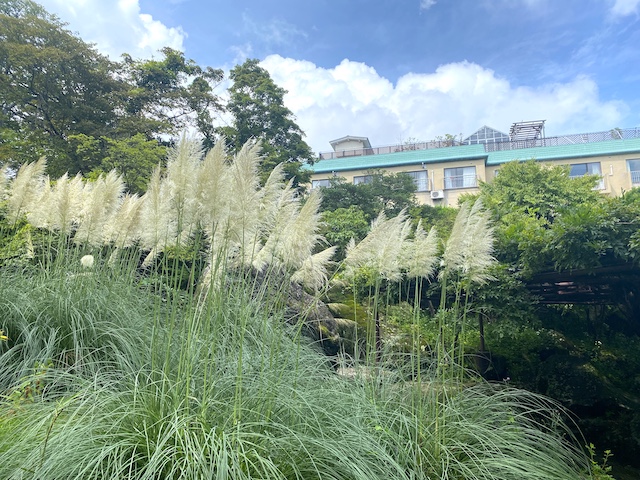 箱根の強羅公園は想像以上に映えスポット！【編集部ブログ】　画像１７