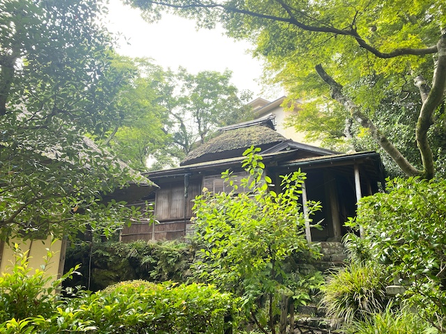 箱根の強羅公園は想像以上に映えスポット！【編集部ブログ】　画像１６