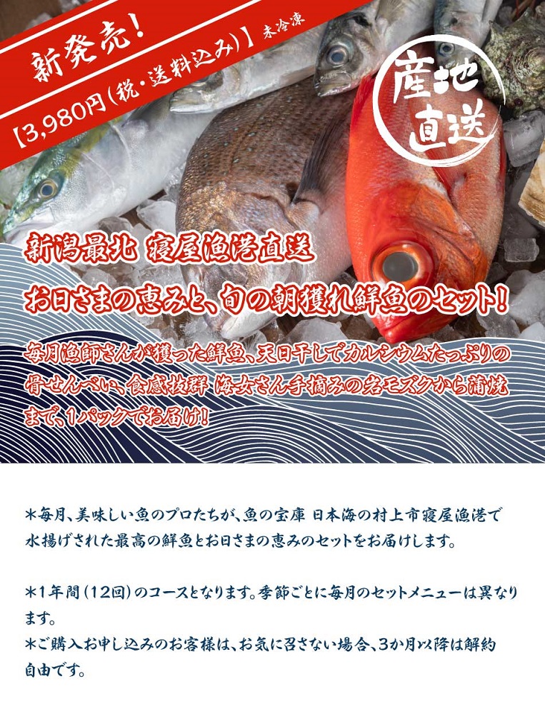 名勝「笹川流れ」の魚介類セットをサブスク販売　吉川水産、フードロス削減や未利用魚活用目指す　画像１