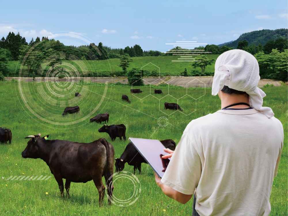 阪南大の産学共同研究プロジェクトが経産省の助成事業に　畜産農業のスマート化を推進　画像１