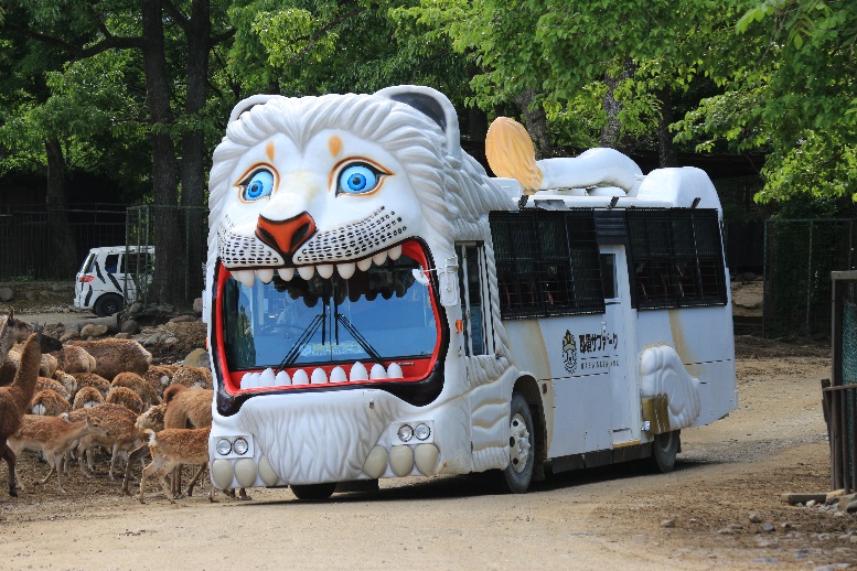 茨城、埼玉の来園者は「ライオンバス」無料　那須サファリパークで県民の日記念、11月1日～29日　画像１