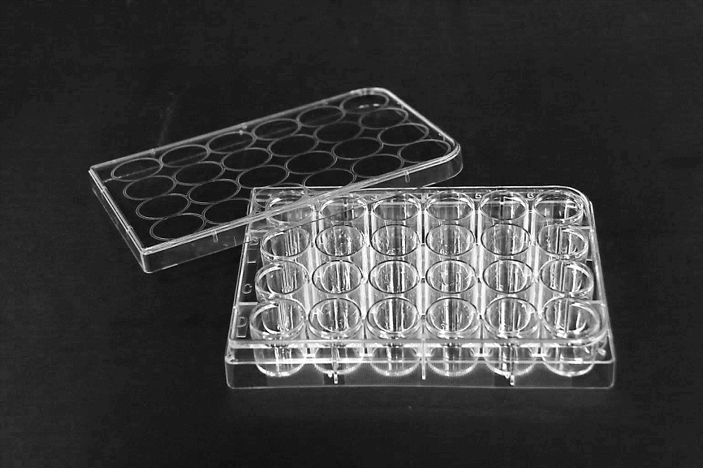 安定的に細胞を培養できる容器を新規開発　ステラケミファ、信州大の研究所と共同で　画像１