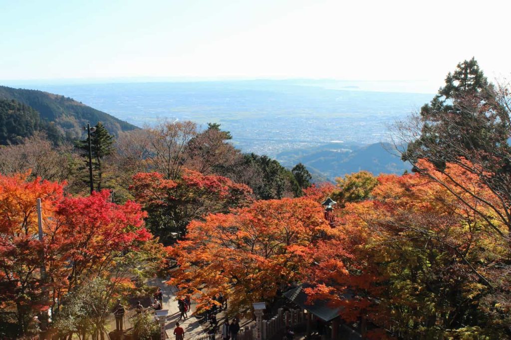 【11月ベストシーズンの国内旅行先】大山の紅葉登山・長瀞ライン下り・徳島サイクリングなど今楽しみたいアクティビティ5選　画像１