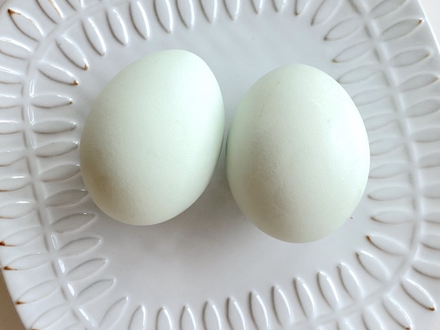 「幸せを呼ぶ青い卵」って知ってる？アローカナの希少な卵食べてみた【編集部ブログ】　画像４