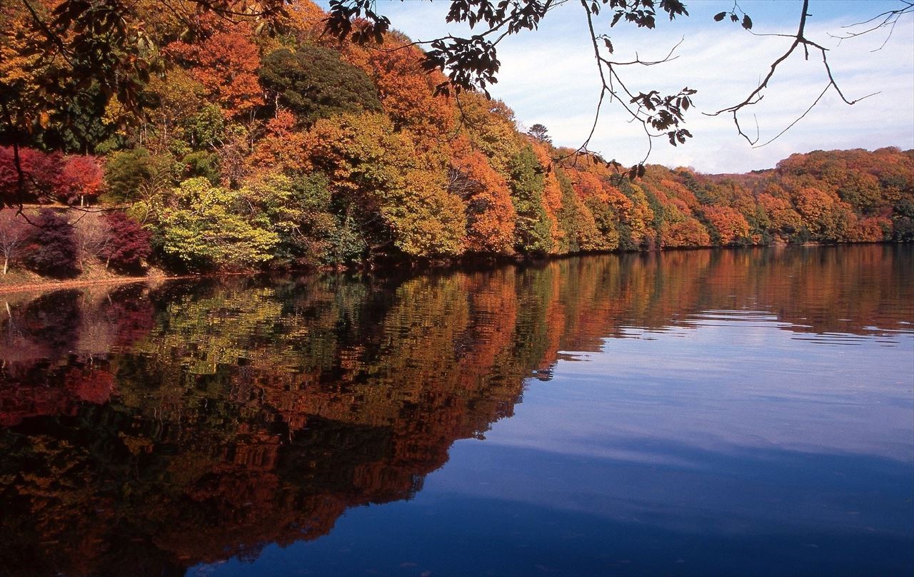 【12月上旬に紅葉が見頃】湖面に映る逆さ紅葉が美しい！伊東の紅葉スポット「一碧湖」　画像２