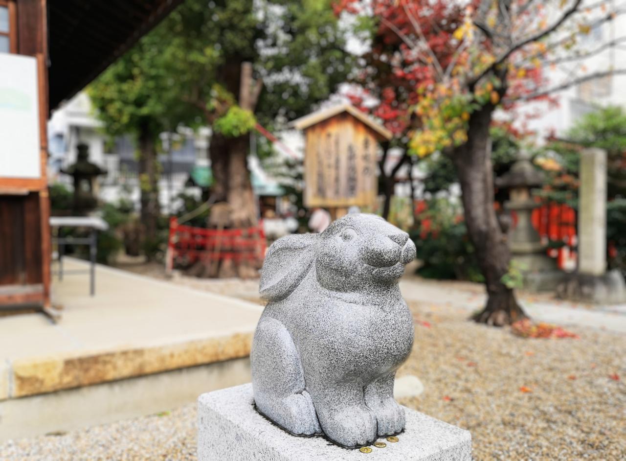 【全国「うさぎ神社」7選】2023年はうさぎ年！開運や縁結びにご利益がある神社は？　画像１６