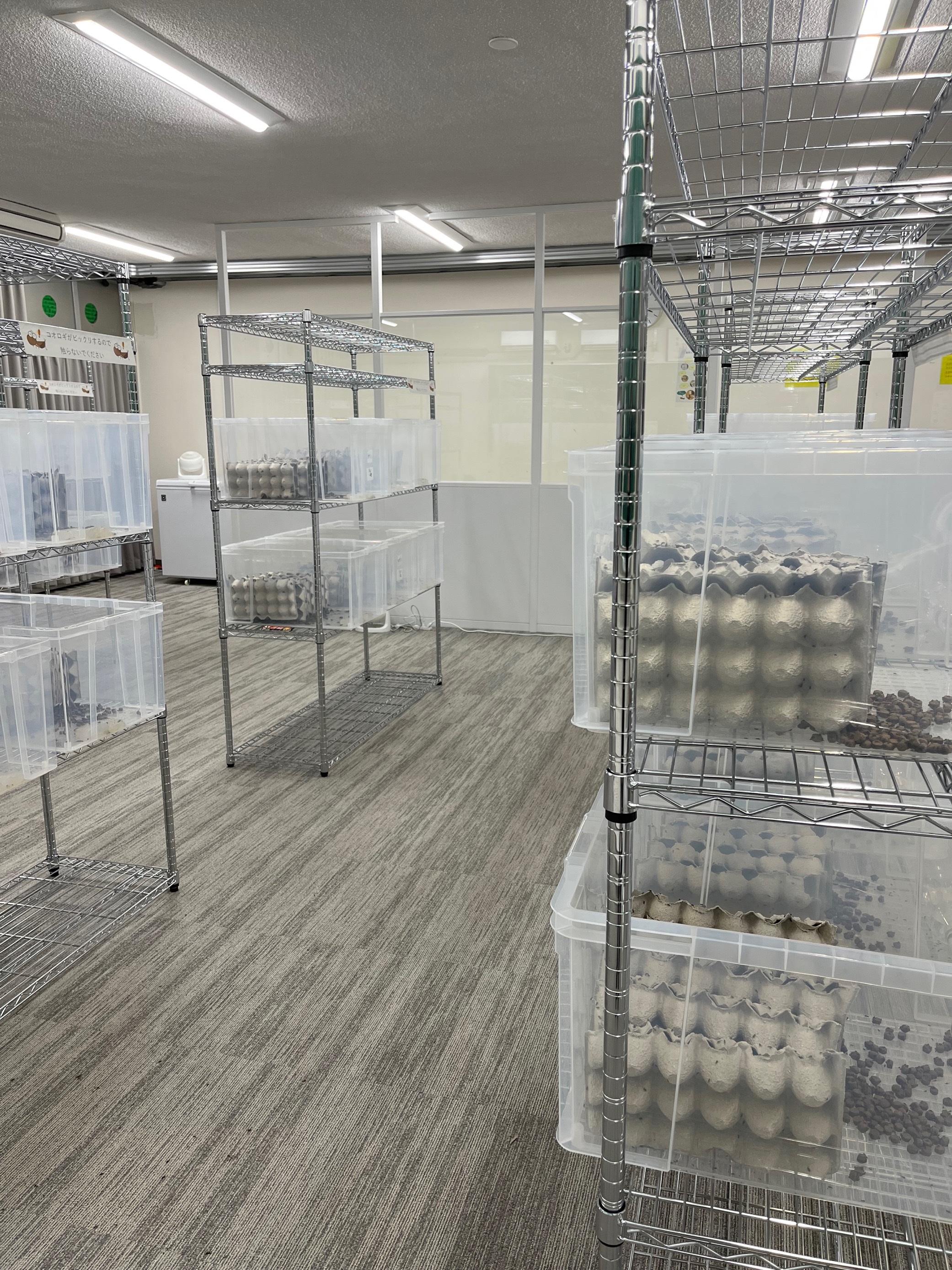 NTT東日本の食用コオロギ飼育実証のための施設