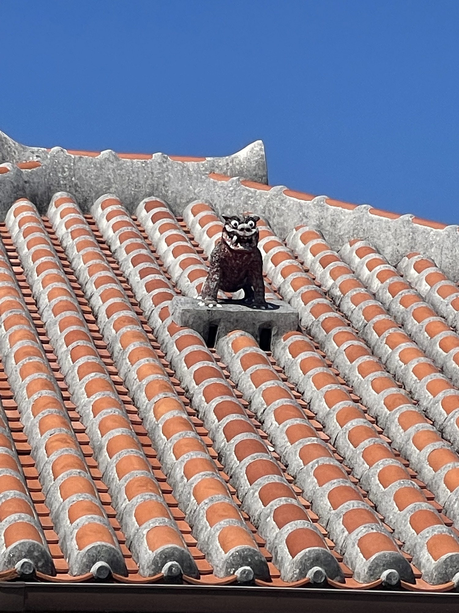 赤瓦屋根の上で家を守るシーサー