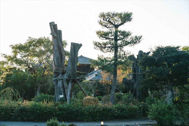【京都】東本願寺の庭園・渉成園の魅力を知るイベント「渉る、到る処に‐庭師が誘う冬の庭‐」開催中！　画像２