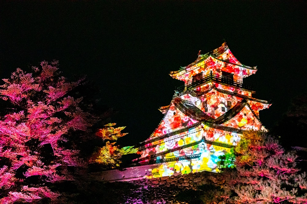 高知城でライトアップイベント「ひかりの花図鑑」　1月29日まで、天守にプロジェクションマッピング　画像１