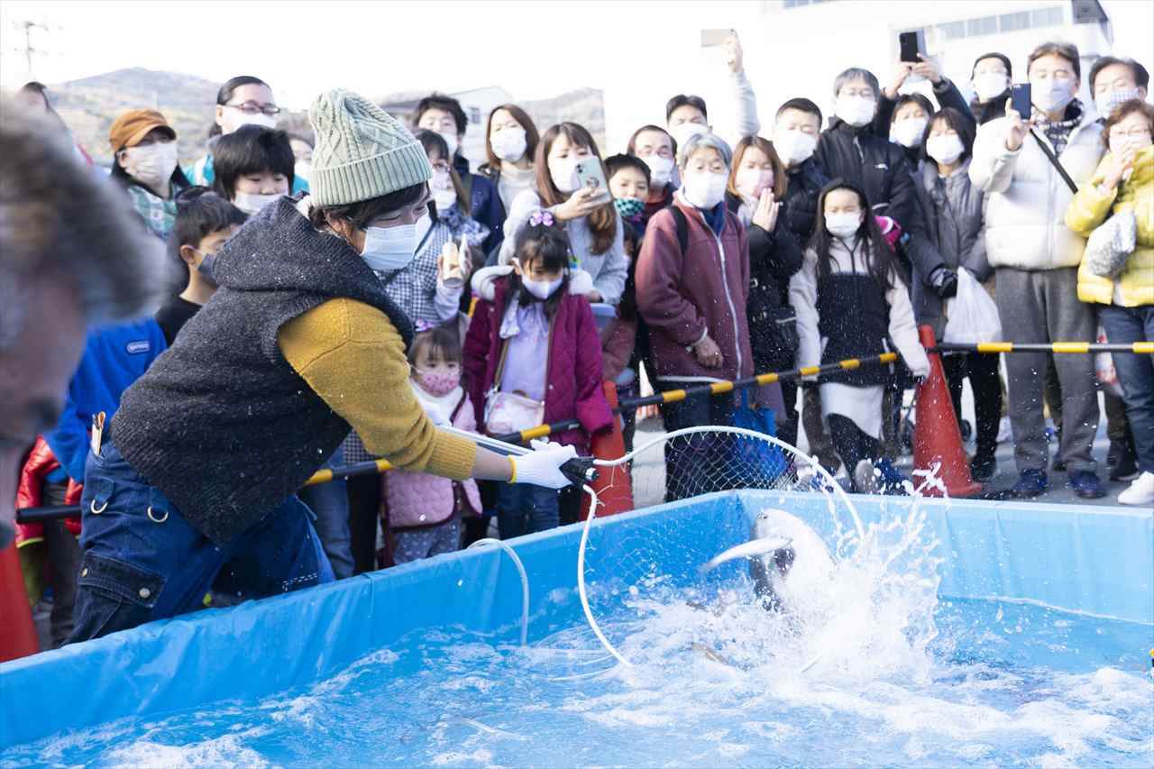 伊豆半島の特産品がお得に買える！「第29回伊東温泉めちゃくちゃ市」開催【静岡県伊東市】　画像１