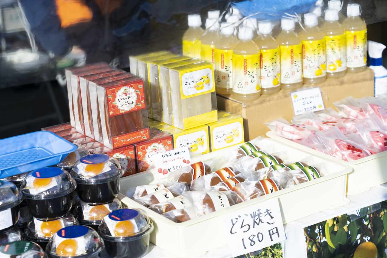 伊豆半島の特産品がお得に買える！「第29回伊東温泉めちゃくちゃ市」開催【静岡県伊東市】　画像２