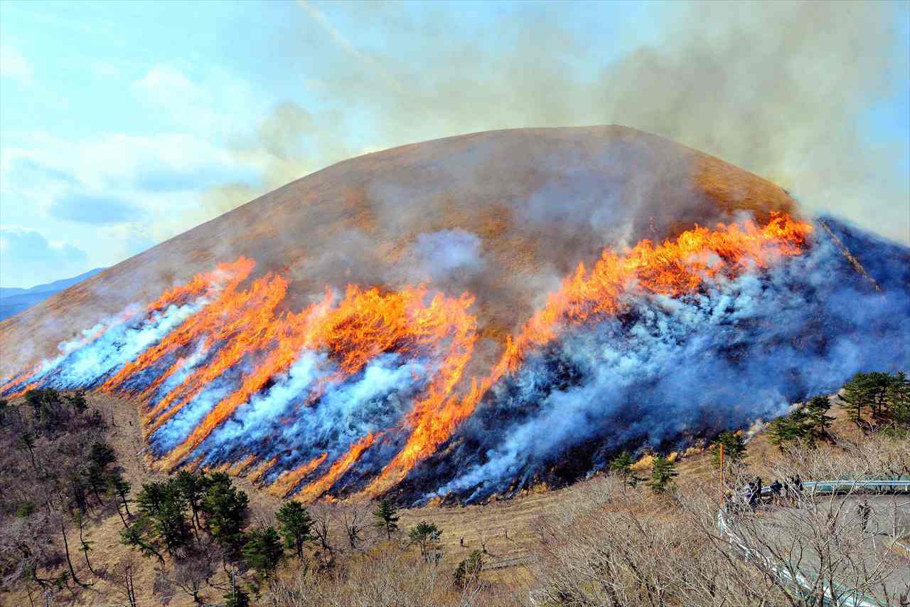 700年の歴史を持つ伝統行事！伊東の春の風物詩「大室山山焼き大会」開催　画像１