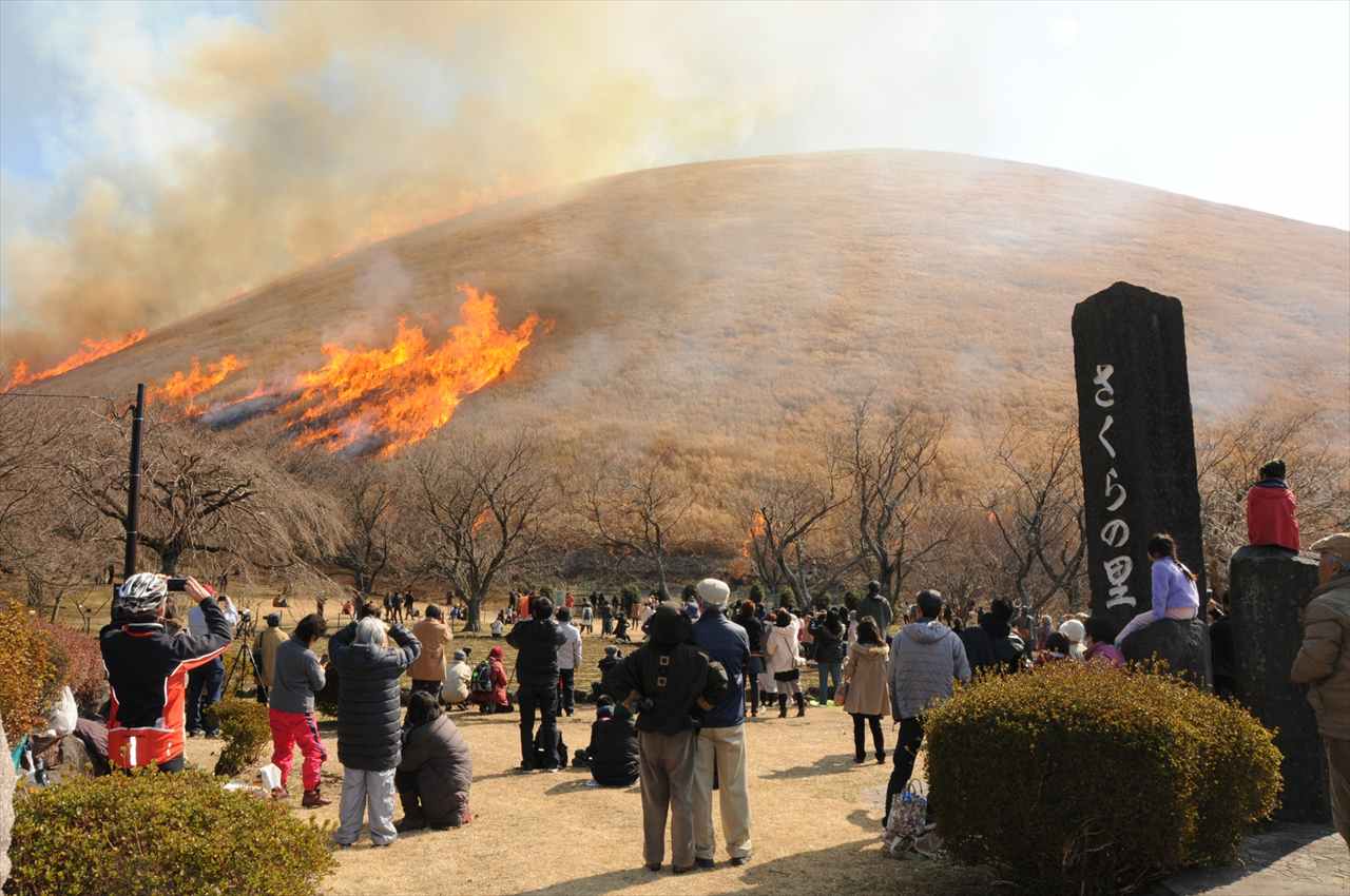 700年の歴史を持つ伝統行事！伊東の春の風物詩「大室山山焼き大会」開催　画像４