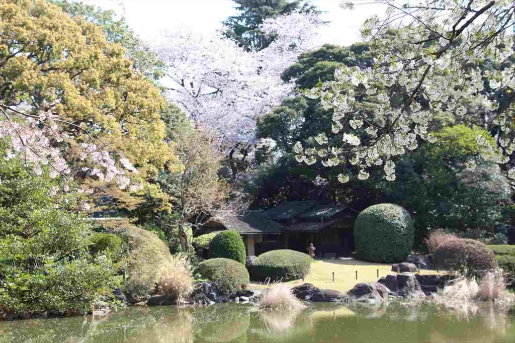「博物館でお花見を」春の恒例企画！桜をモチーフにした日本美術を展示【東京国立博物館】　画像１